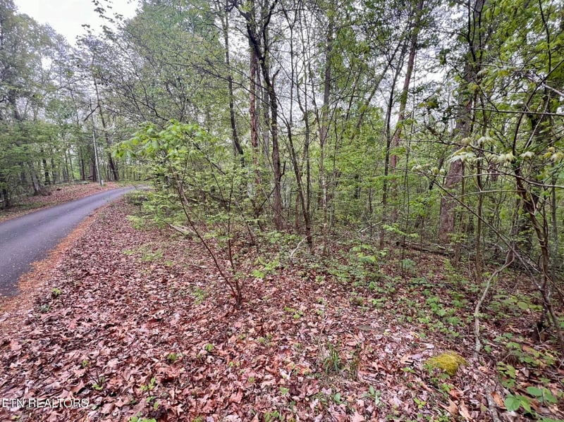 Lot 71-72 Polly Mountain Rd, Madisonville, TN 37354