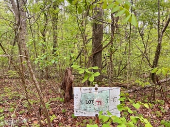 Lot 71-72 Polly Mountain Rd, Madisonville, TN 37354