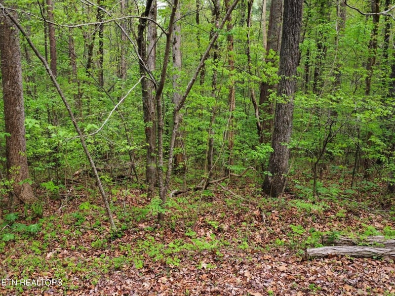 Lot 71-72 Polly Mountain Rd, Madisonville, TN 37354