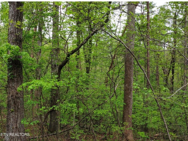 Lot 71-72 Polly Mountain Rd, Madisonville, TN 37354