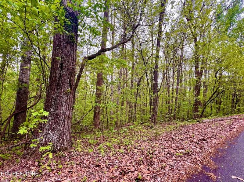 Lot 71-72 Polly Mountain Rd, Madisonville, TN 37354