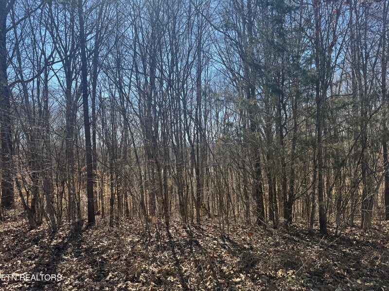 LOT 71 Saddle Ridge Dr, Speedwell, TN 37870
