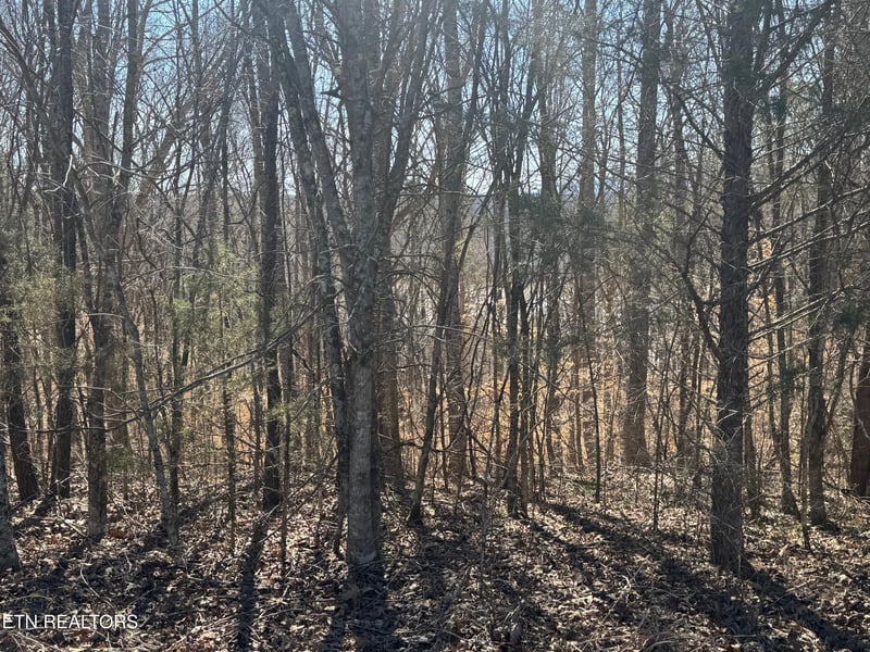 LOT 71 Saddle Ridge Dr, Speedwell, TN 37870