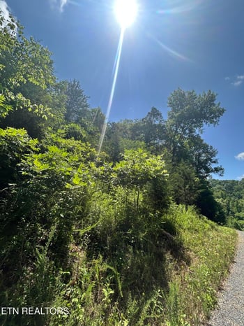 lot 713 Russell Brothers, Sharps Chapel, TN 37866