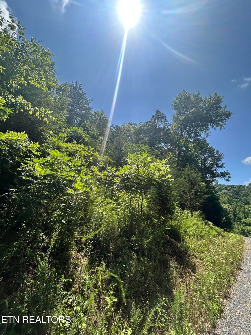 lot 713 Russell Brothers, Sharps Chapel, TN 37866