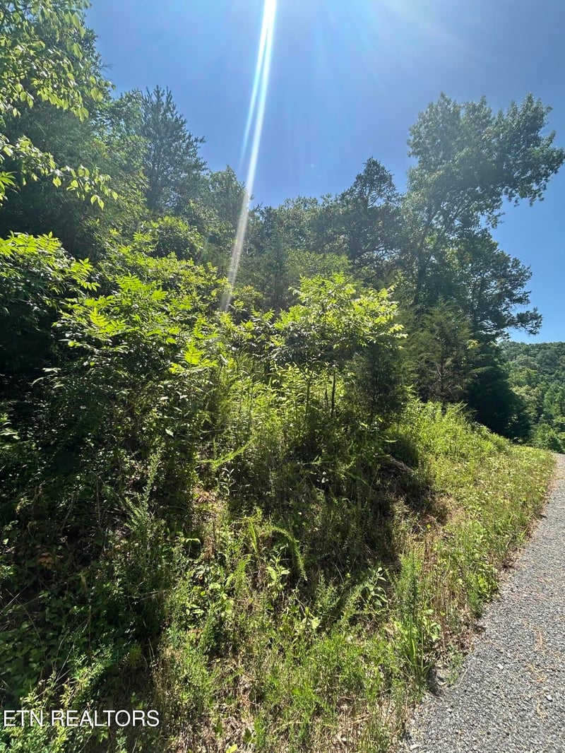 lot 713 Russell Brothers, Sharps Chapel, TN 37866
