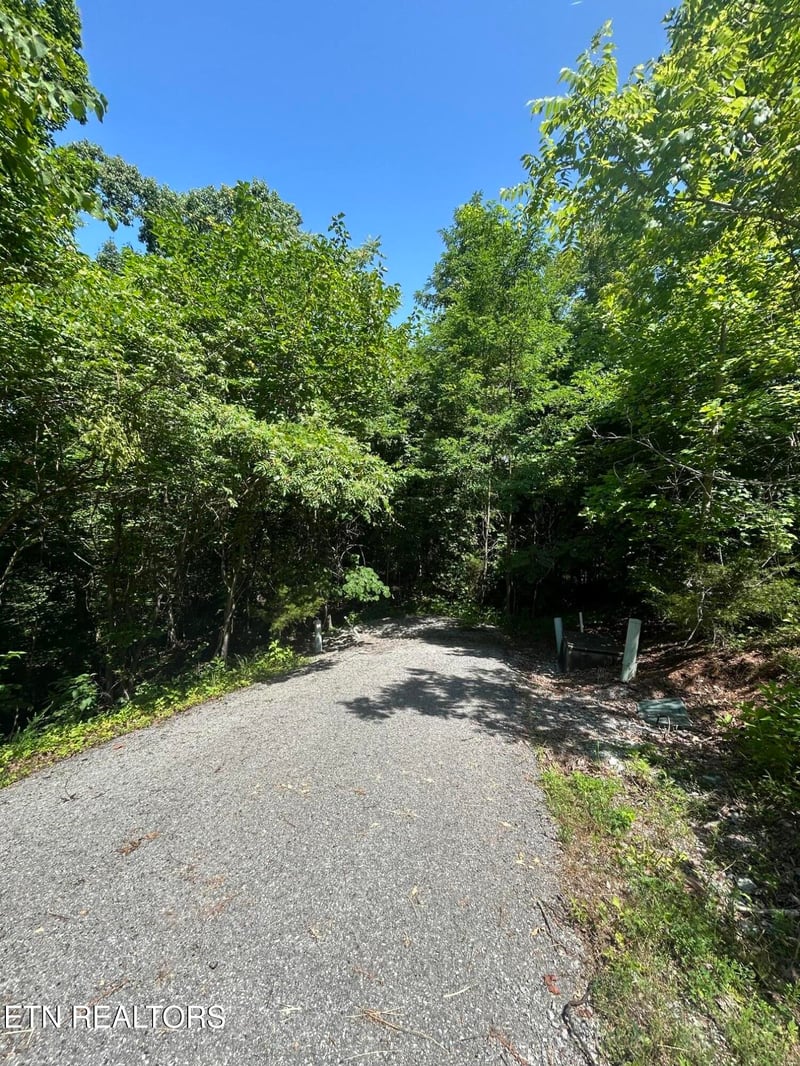 lot 713 Russell Brothers, Sharps Chapel, TN 37866