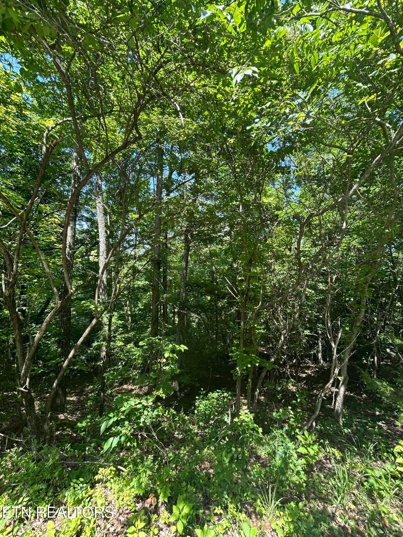 lot 713 Russell Brothers, Sharps Chapel, TN 37866
