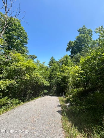 lot 714 Russell Brothers Rd, Sharps Chapel, TN 37866