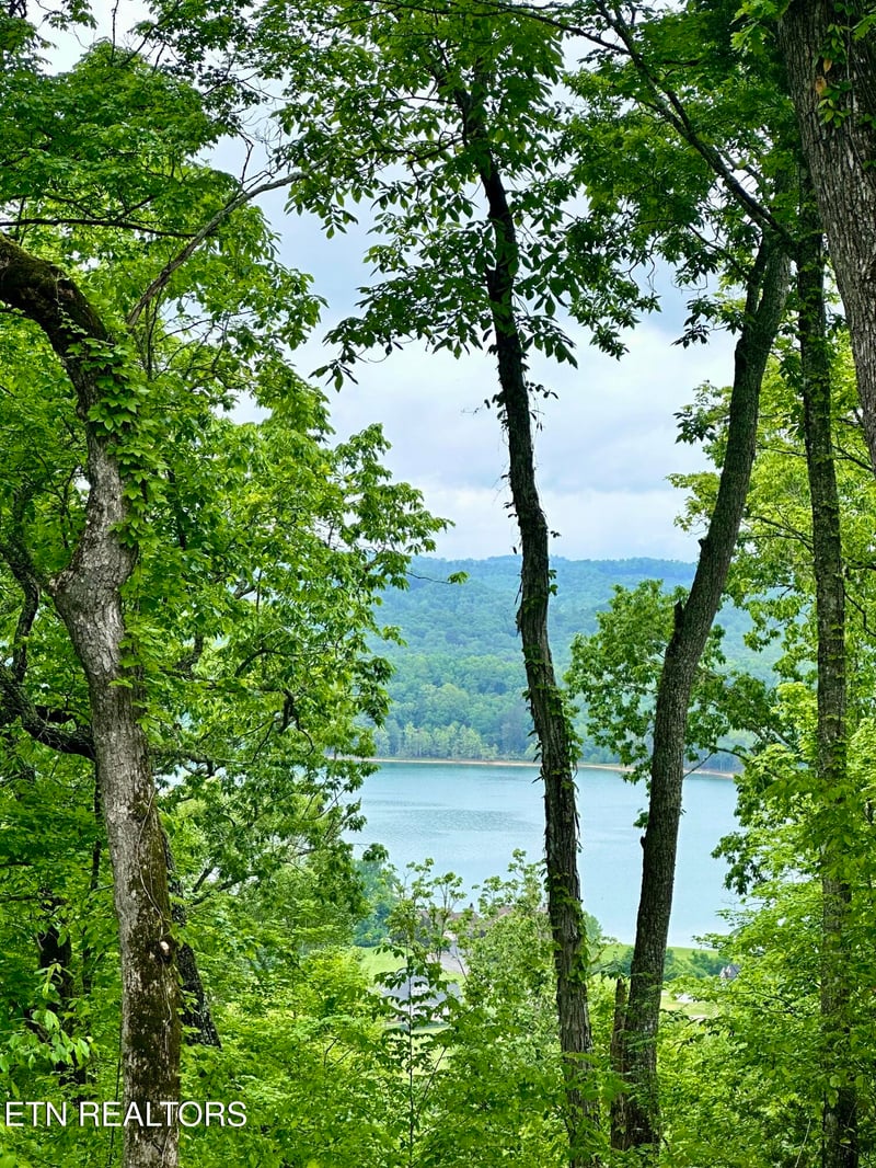 Lot 731 Russell Brothers Rd, Sharps Chapel, TN 37866