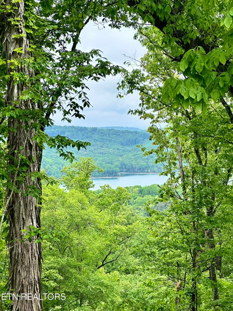 Lot 731 Russell Brothers Rd, Sharps Chapel, TN 37866