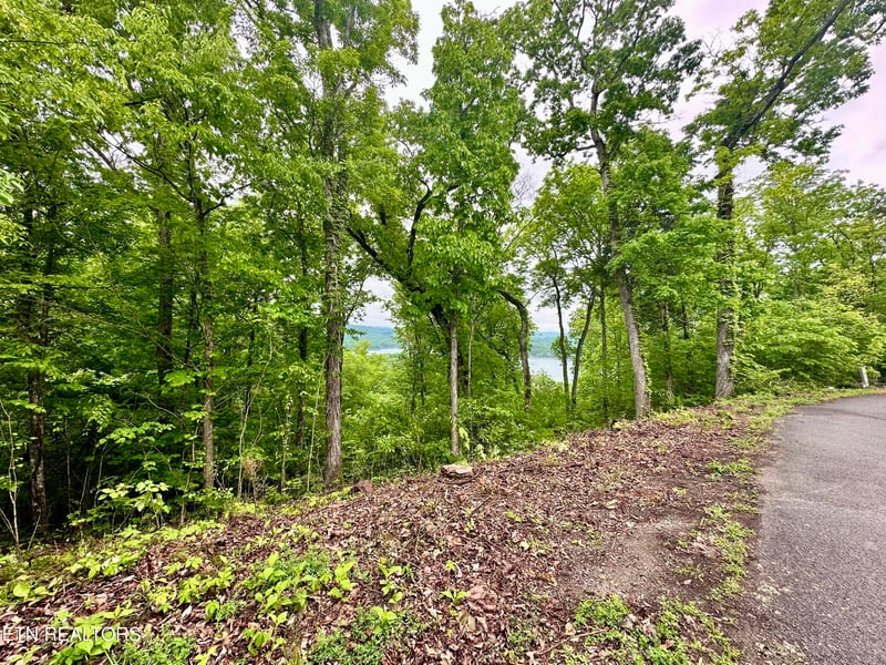 Lot 731 Russell Brothers Rd, Sharps Chapel, TN 37866