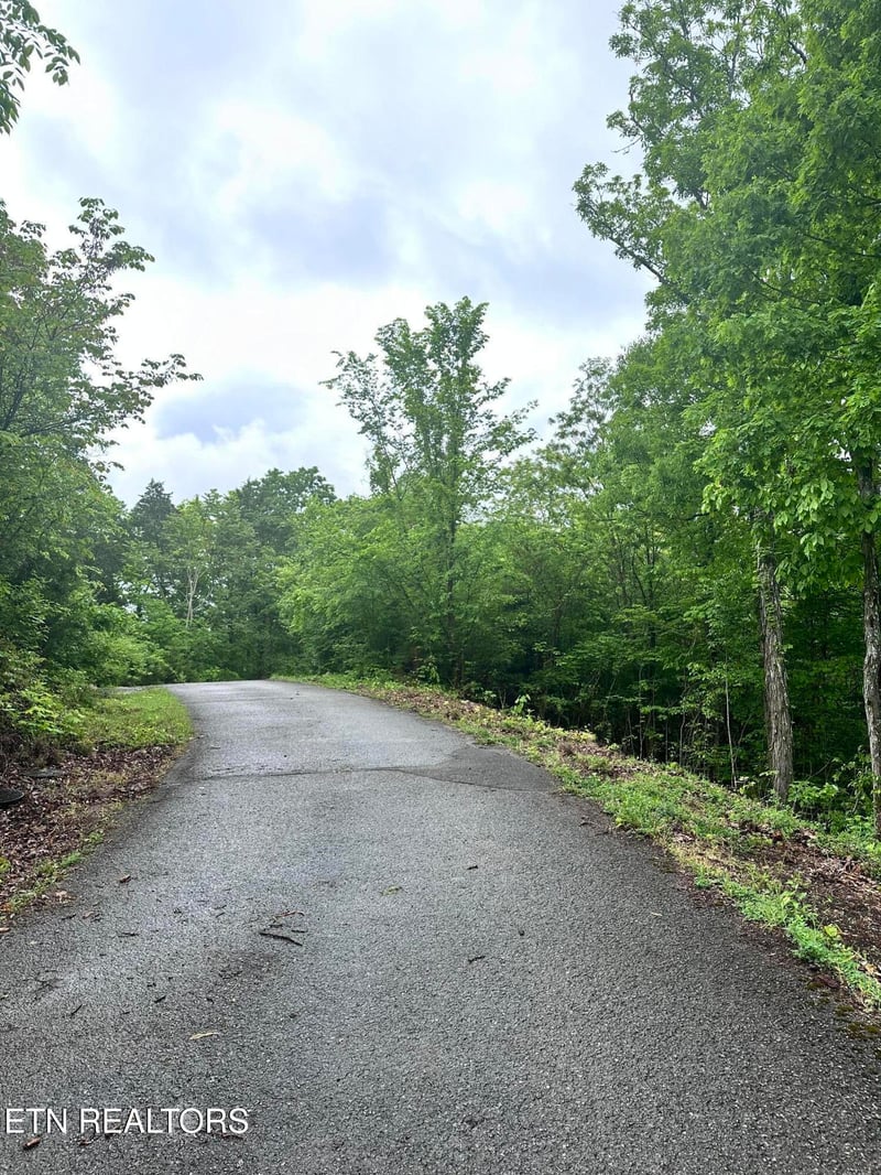 Lot 731 Russell Brothers Rd, Sharps Chapel, TN 37866