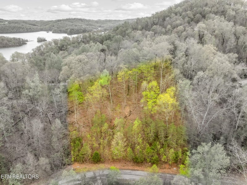 Lot 736 Russell Brothers Rd, Sharps Chapel, TN 37866
