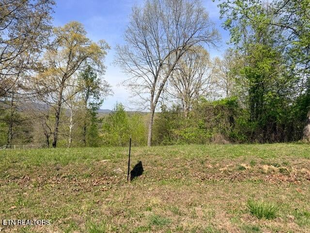 Lot 74 Saddleridge Dr, Speedwell, TN 37870