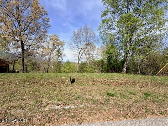 Lot 74 Saddleridge Dr, Speedwell, TN 37870