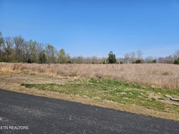 Lot 75 E Shore Dr, Rockwood, TN 37854