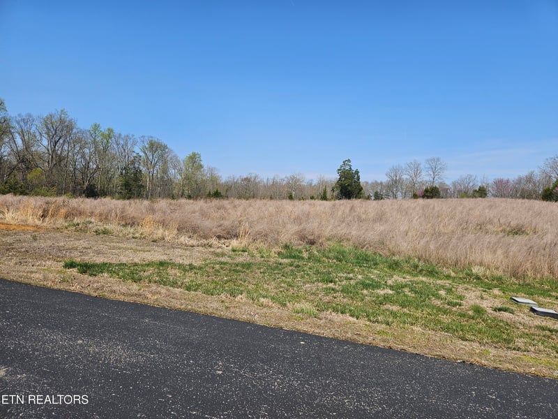 Lot 75 E Shore Dr, Rockwood, TN 37854