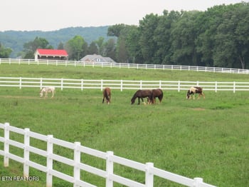 Lot 75 E Shore Dr, Rockwood, TN 37854