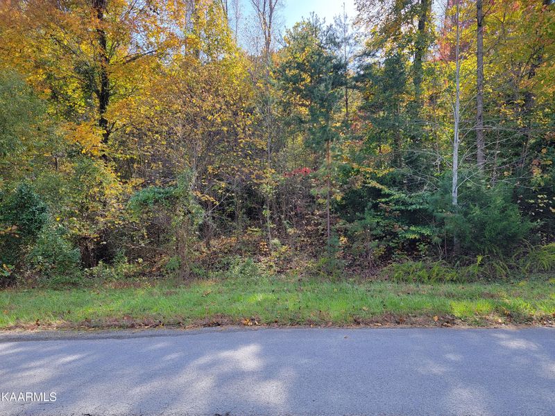 Lot 75 Hickory Point Ln, Maynardville, TN 37807