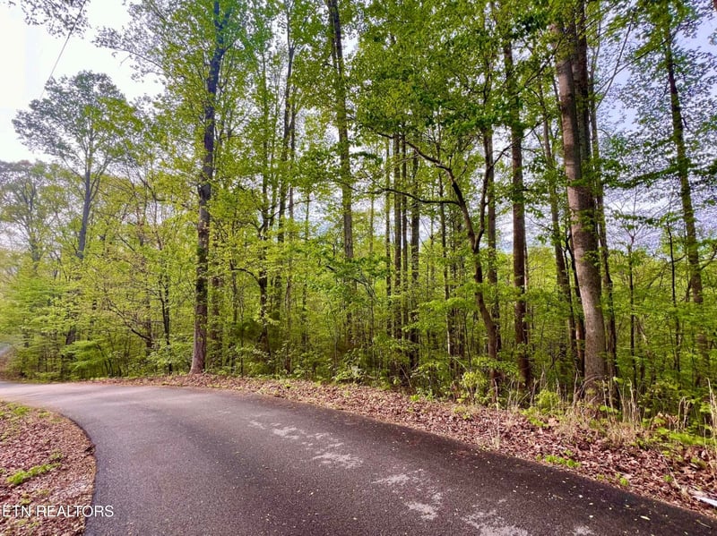 Lot 76-77 Polly Mountain Rd, Madisonville, TN 37354