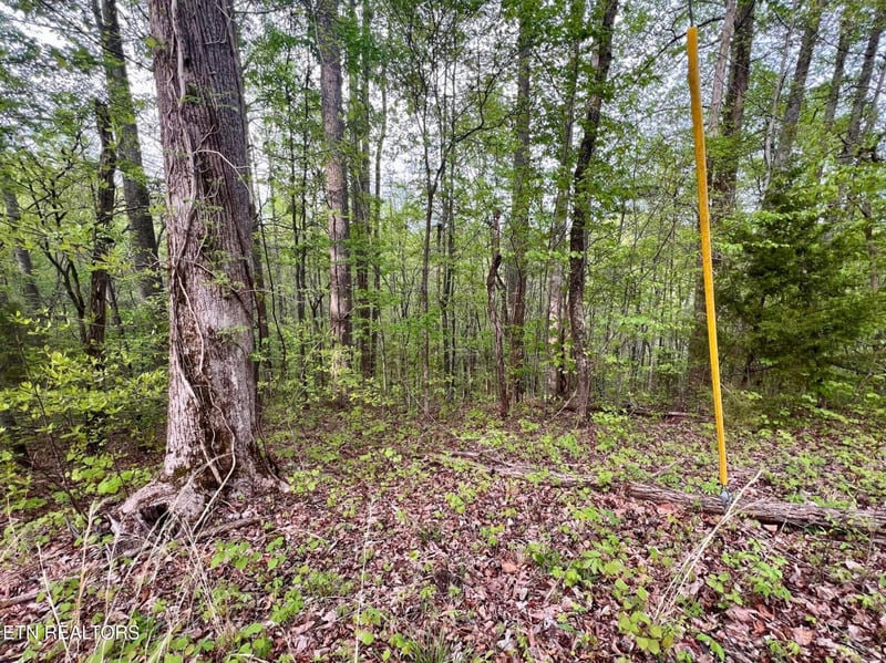 Lot 76-77 Polly Mountain Rd, Madisonville, TN 37354