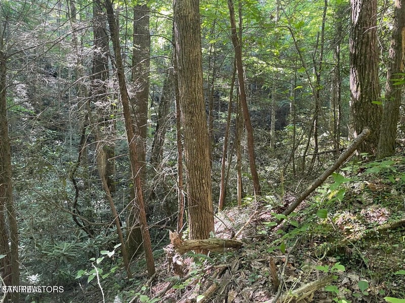 Lot 76 Sycamore St, Sevierville, TN 37876