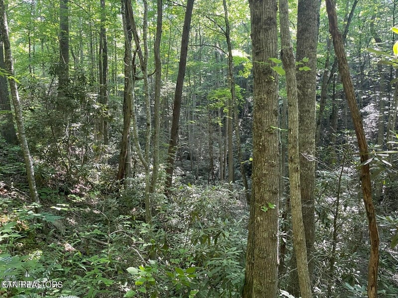 Lot 76 Sycamore St, Sevierville, TN 37876