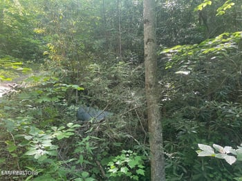 Lot 76 Sycamore St, Sevierville, TN 37876
