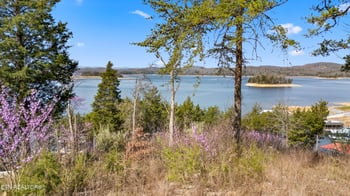 Lot 765 Russell Brothers Rd, Sharps Chapel, TN 37866