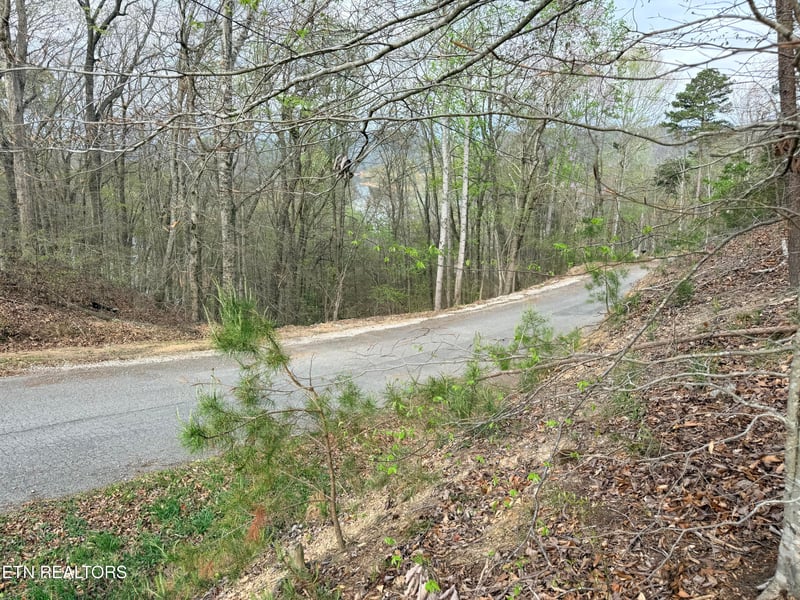 Lot 77 Grandpas Rg, Sharps Chapel, TN 37866