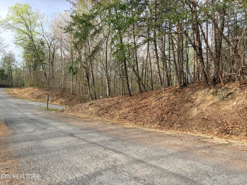 Lot 77 Grandpas Rg, Sharps Chapel, TN 37866