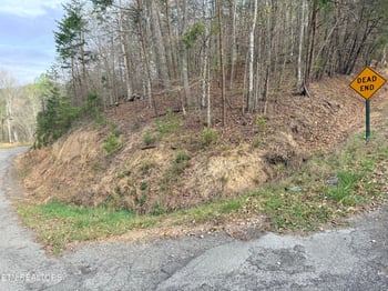 Lot 77 Grandpas Rg, Sharps Chapel, TN 37866