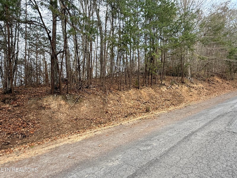 Lot 77 Grandpas Rg, Sharps Chapel, TN 37866