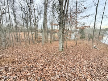 Lot 77 Indian Shadows Dr, Ten Mile, TN 37880