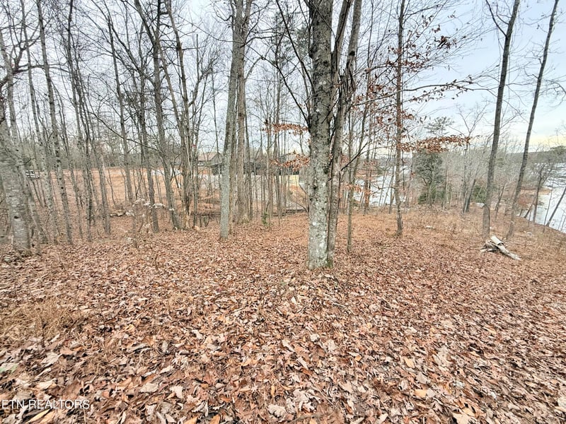 Lot 77 Indian Shadows Dr, Ten Mile, TN 37880