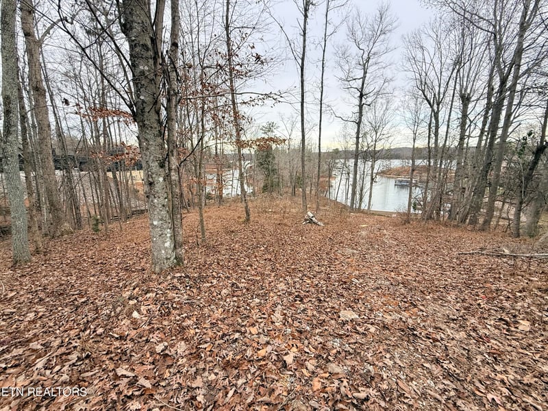 Lot 77 Indian Shadows Dr, Ten Mile, TN 37880