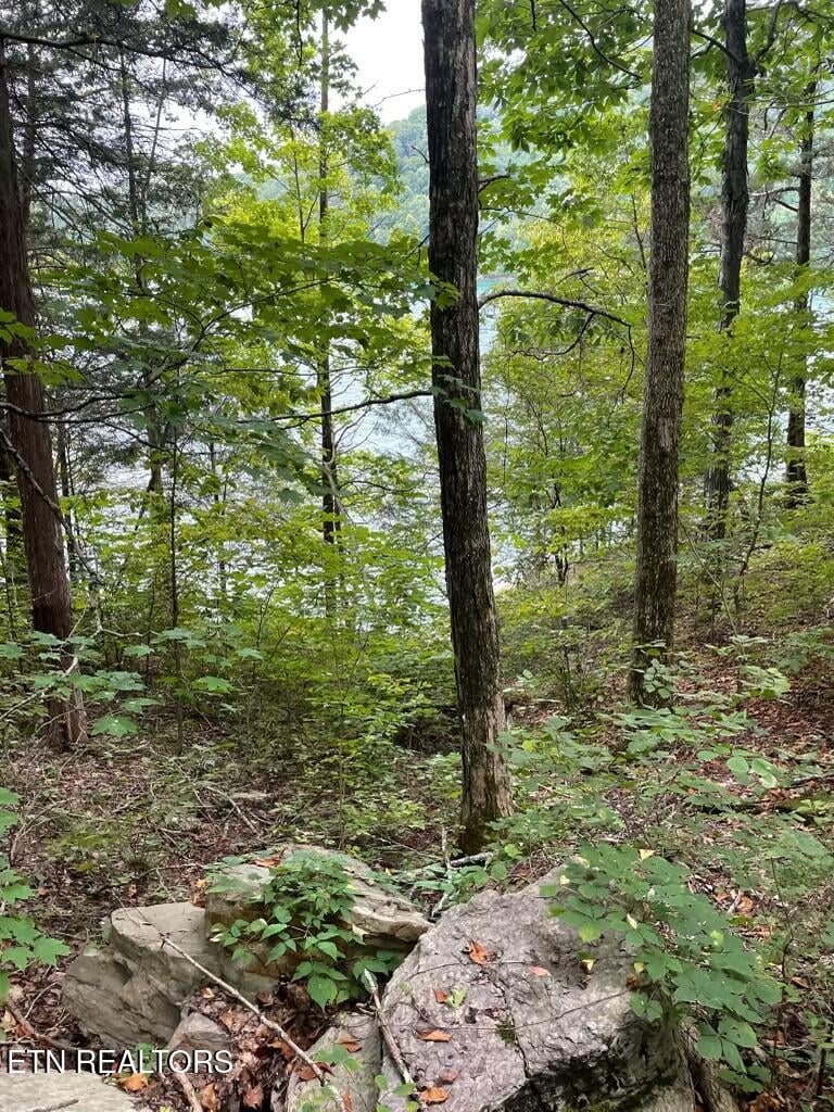 Lot 784 Russell Brothers Rd, Sharps Chapel, TN 37866