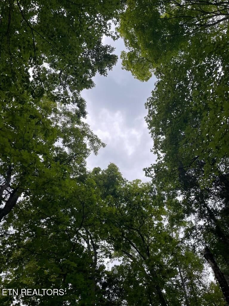 Lot 784 Russell Brothers Rd, Sharps Chapel, TN 37866