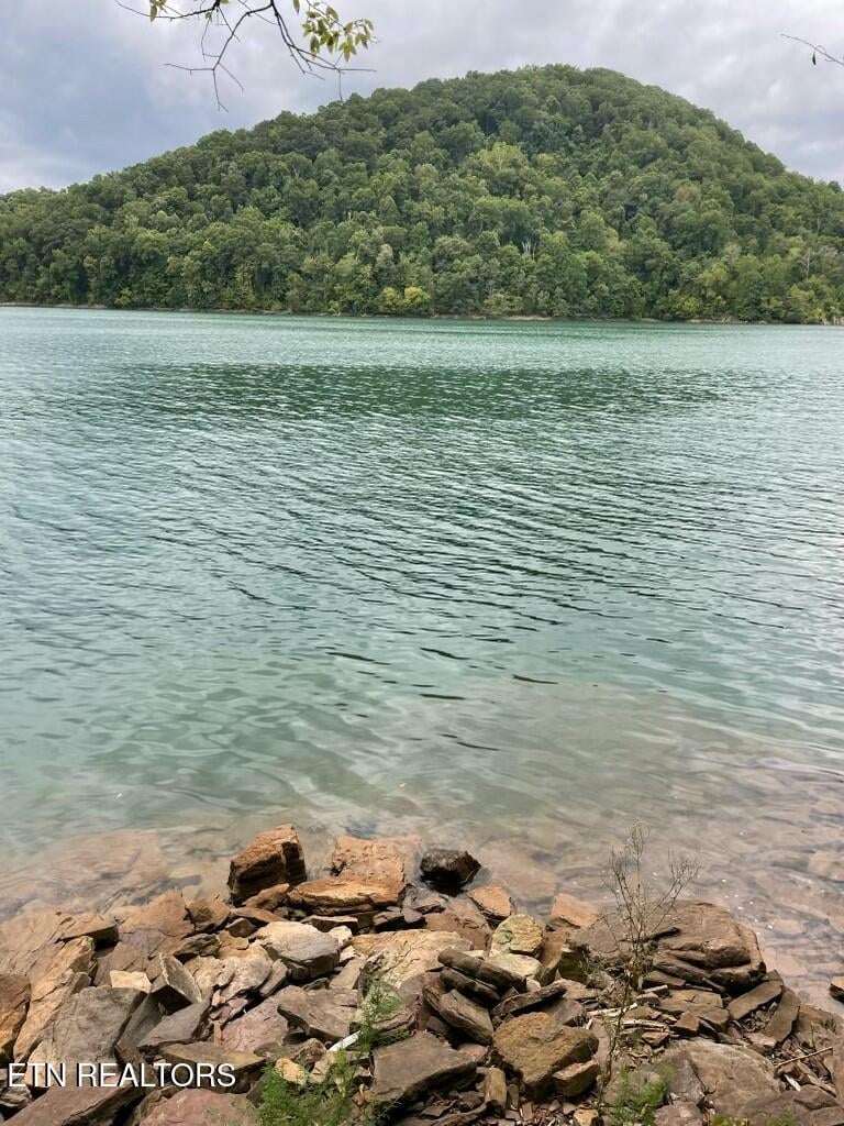 Lot 784 Russell Brothers Rd, Sharps Chapel, TN 37866