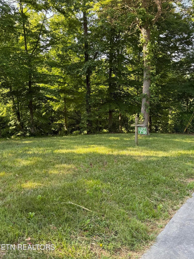 Lot 79 Pinnacle Pointe Way, Sharps Chapel, TN 37866