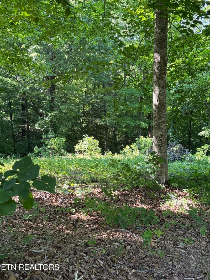 Lot 79 Pinnacle Pointe Way, Sharps Chapel, TN 37866