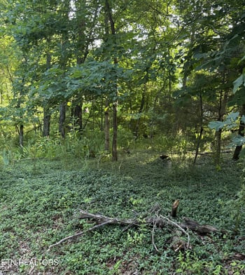 Lot 8 Catoosa Woods Dr, Lancing, TN 37770