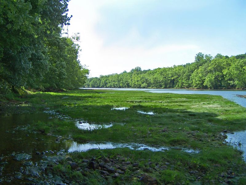 Lot 8 Cherokee Explosives, Rutledge, TN 37861
