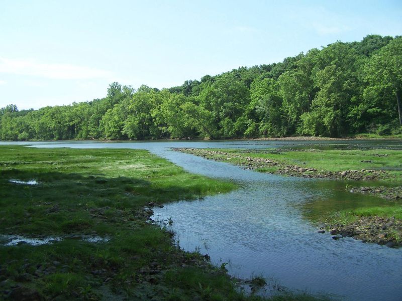 Lot 8 Cherokee Explosives, Rutledge, TN 37861