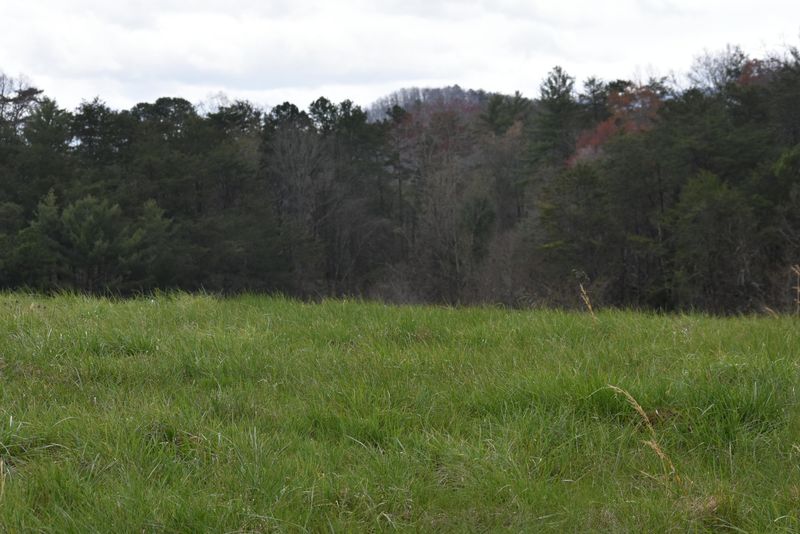 Lot 8 Dayne Dr, Sevierville, TN 37876