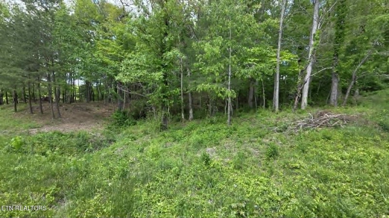 Lot 8 Keating Loop, Crossville, TN 38555