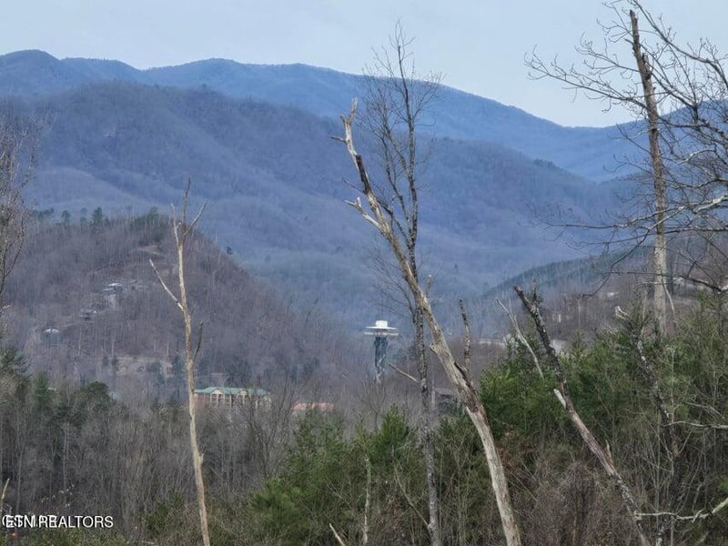 Lot 8 Kristis Pl, Gatlinburg, TN 37738