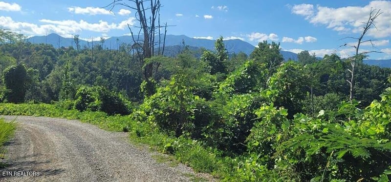 Lot 8 Kristis Pl, Gatlinburg, TN 37738