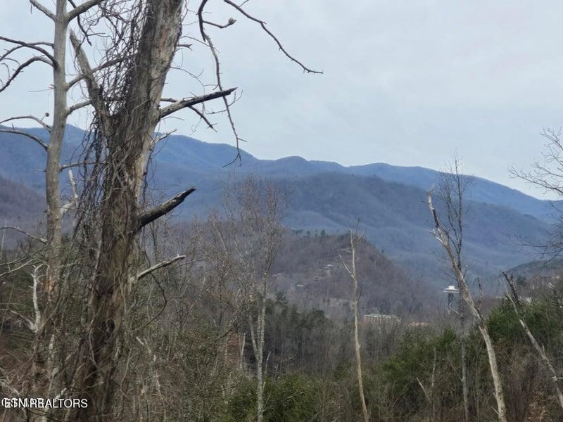 Lot 8 Kristis Pl, Gatlinburg, TN 37738